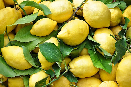 Box limoni